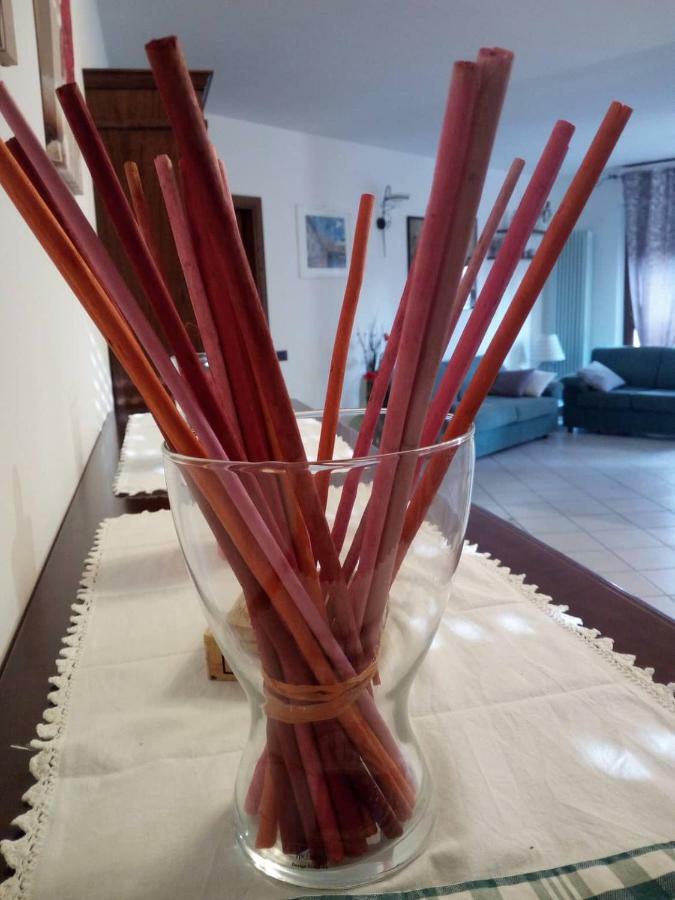 La Casa Di Fiammetta Villa Colle Val D'Elsa Dış mekan fotoğraf